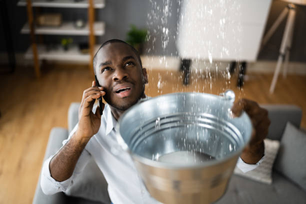 Best Flood restoration services  in La Junta, CO