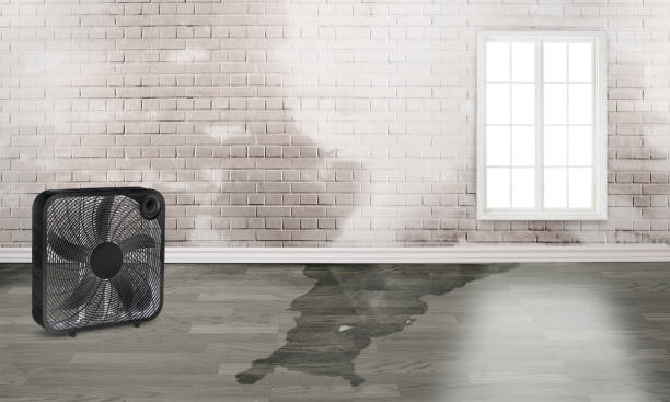 Best Water damage restoration cost  in La Junta, CO