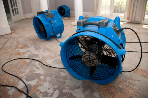 Best 24/7 water damage repair  in La Junta, CO